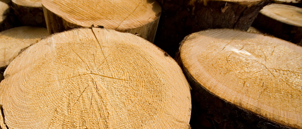 Types de bois